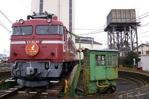 EF81-81