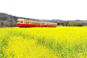 小湊鉄道　キハ200