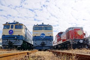 EF65 1115 & EF65 501 & DD51 895